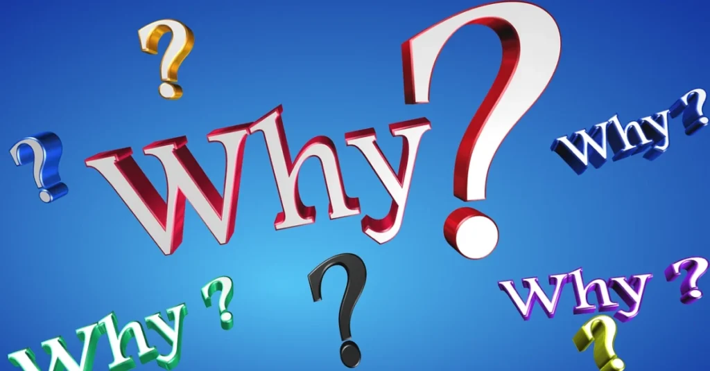 Why Choose a Local Website Development Company in Navi Mumbai